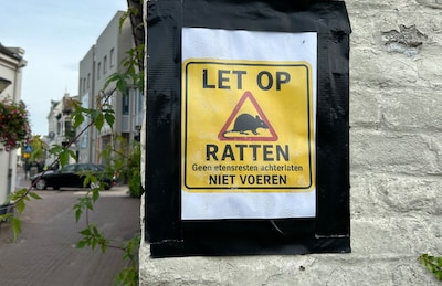 Image related to the article