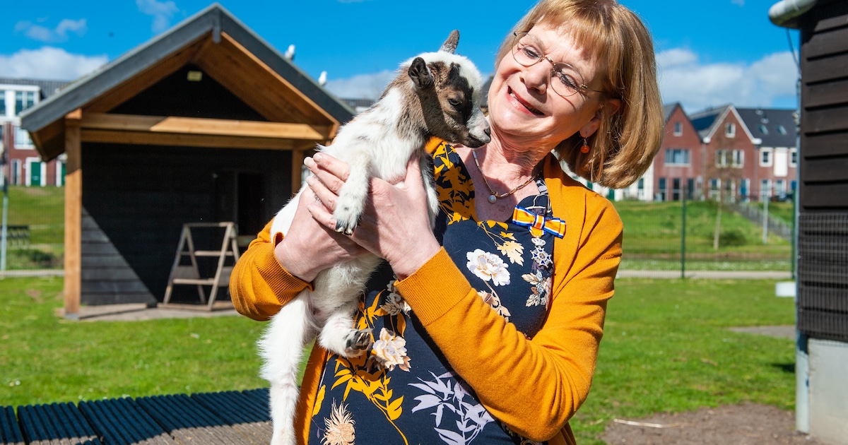 Kinderboerderij Dierendal hoopt gestolen geldpotje snel terug te hebben: ‘Dit is zó laf’