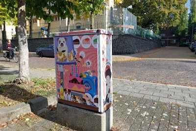 Steeds meer elektrakastjes in Arnhem krijgen vrolijke prints: dit zit erachter