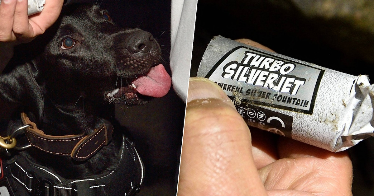 Hond Ben vindt ieder spoortje vuurwerk: als hij voor garage staat, klinkt er plots geblaf