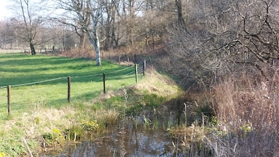 Beekdallezing in Renkum geeft stem aan Veluwse beken