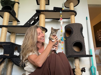 Alles wat zielig oogt, neemt ze mee: al 15 jaar geeft Tilburgse Rianne zwerfkittens een tweede kans