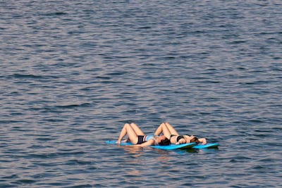 LIVE Hitte in Brabant | Temperatuur in Brabant later deze week richting 38 graden, records komen in 