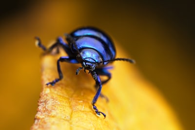 Image related to the article