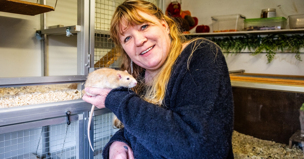 In Angela’s tuin staat een groot huis voor haar knaagdieren: ‘Ratjes zijn net kleine hondjes’
