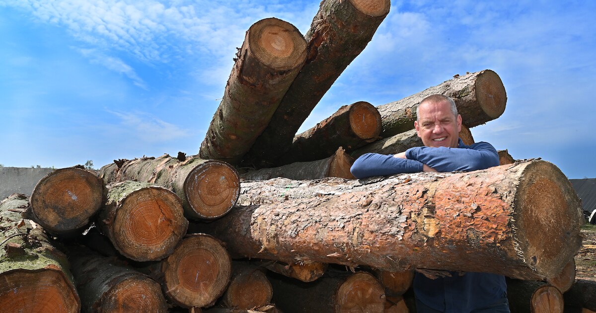 ‘Bomen zijn van vitaal belang voor wat op aarde leeft’