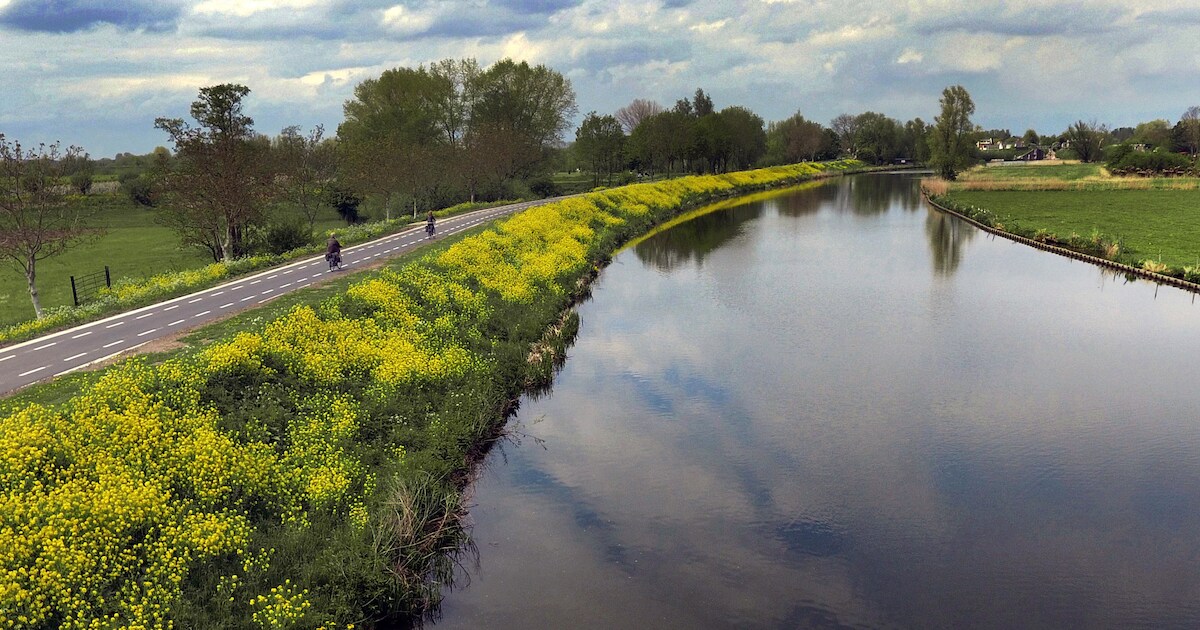 GGD waarschuwt voor zwemmen in de Linge: bacterie kan bloedvergiftiging veroorzaken