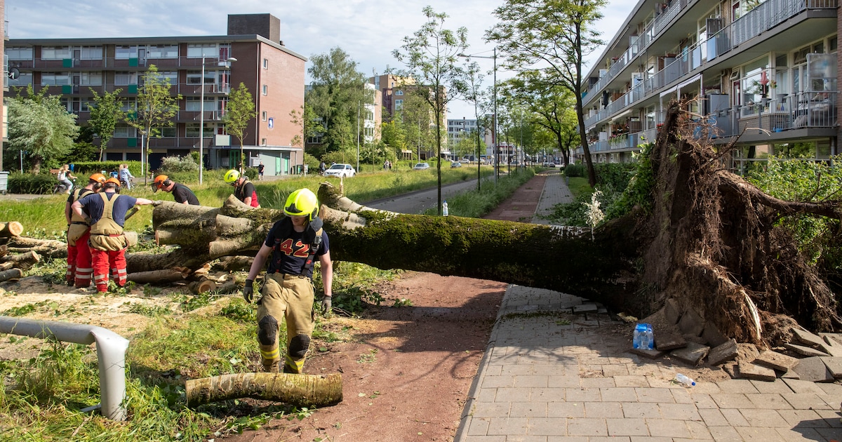 Fors minder schade in Hattem door noodweer vorig jaar