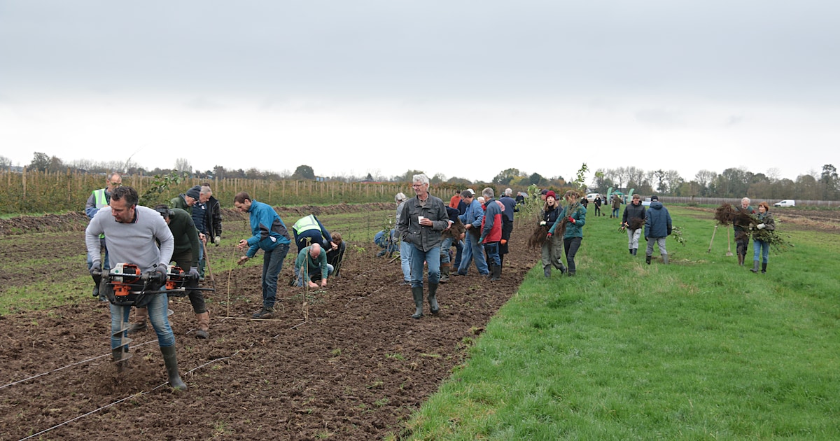 Prijs voor Natuurwacht Bommelerwaard: ‘Indrukwekkende inzet in het rivierengebied’