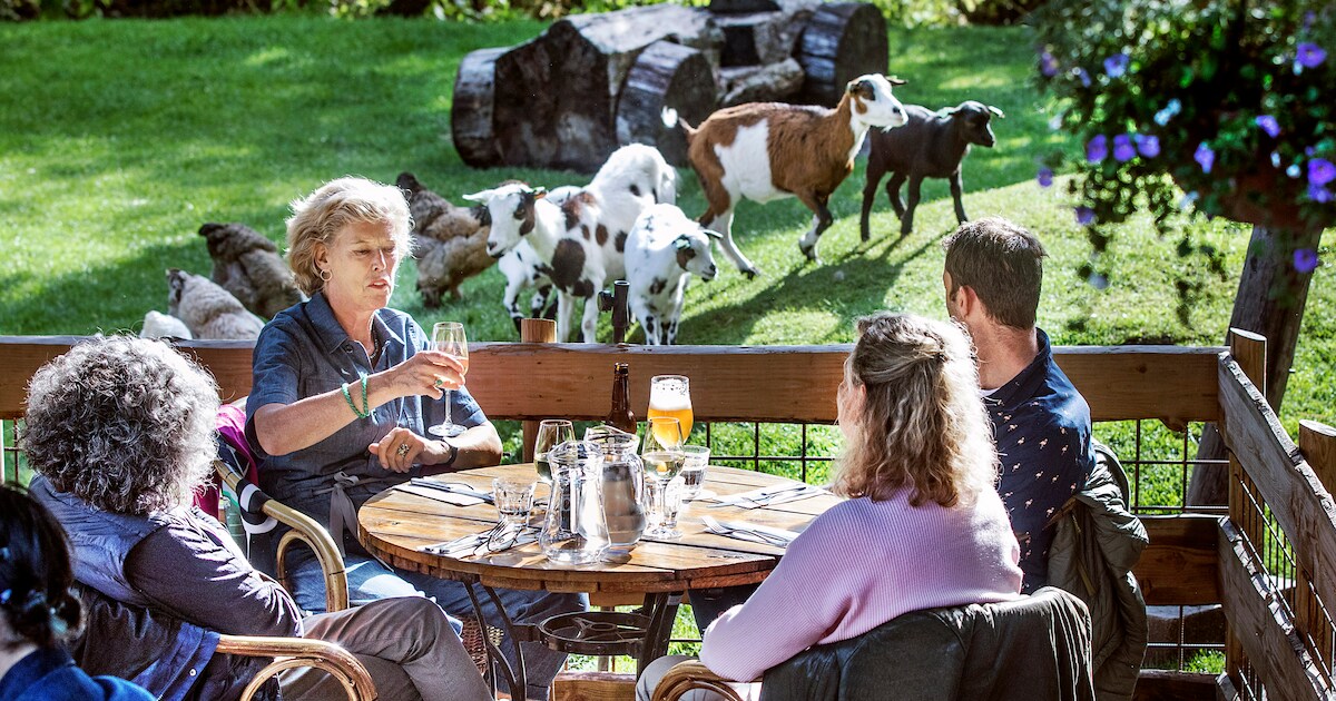 Pareltje in polderlandschap: verrassend goed eten in een oude kantine | Delft