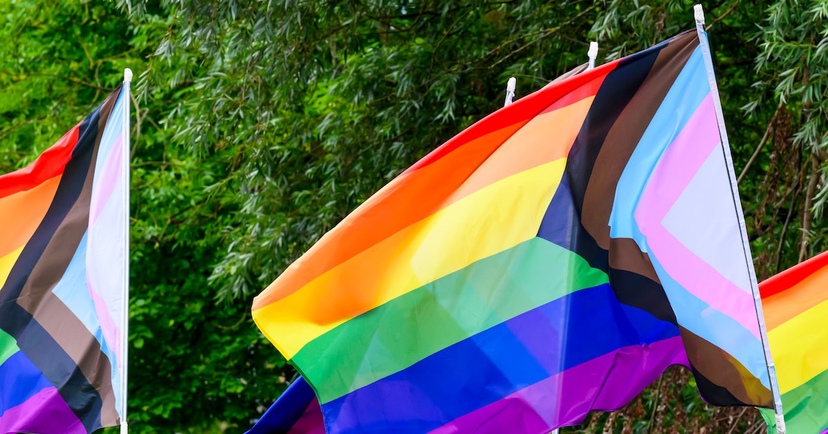 Laren doet mee aan Gooise Pride Month met vlag, film en expositie