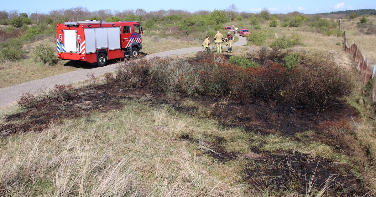 Brand in duinen bij Zandvoort snel onder controle