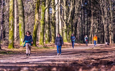 Achtste editie van wandeltocht op Midden-Veluwe voert door afwisselend landschap