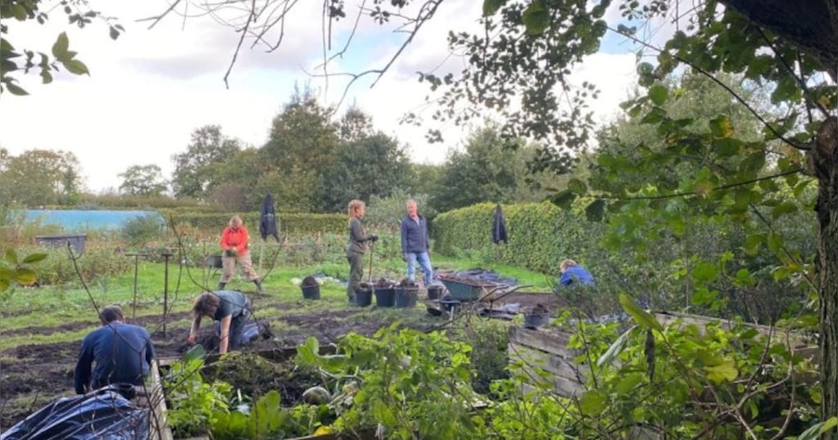 Glinstertuin Amersfoort zoekt hulp bij tuinwerk: koffie, thee en lunch voor vrijwilligers