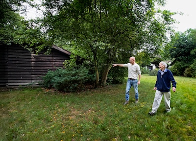 Image related to the article