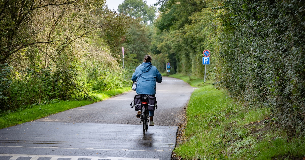 Voorarrest van verdachte van vijf aanrandingen en mishandelingen in Delft met 30 dagen verlengd