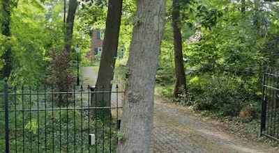 Image related to the article