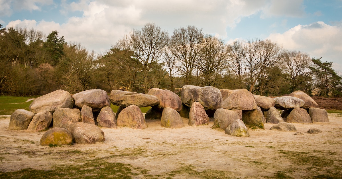 OERmuseum in Diever houdt wandelingen over Havelterberg in Havelte