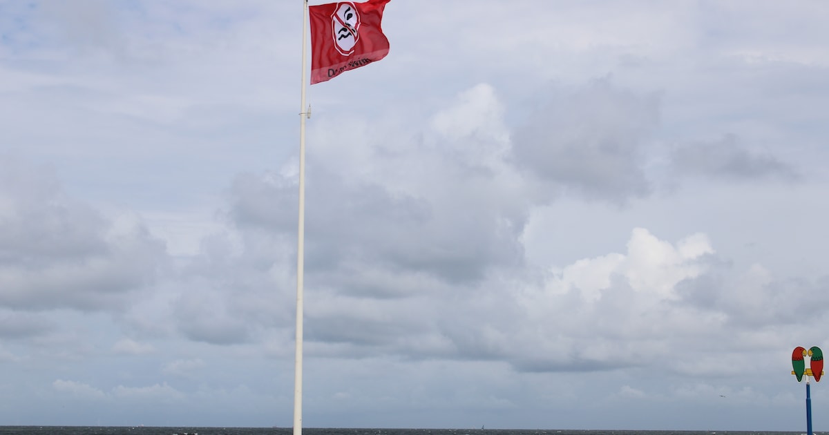 Waarschuwing vanwege gevaarlijk zeeschuim bij Scheveningen: ga niet het water in