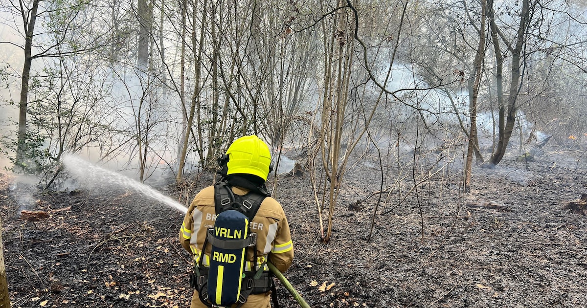 Beginnende bosbrand snel geblust aan de Hoornpost in Beesel