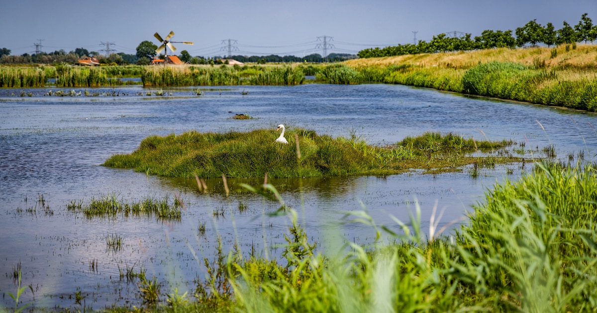 Lezers delen hun favoriete uitstapjes: ‘Je hoeft echt niet ver weg om leuke dingen te zien’