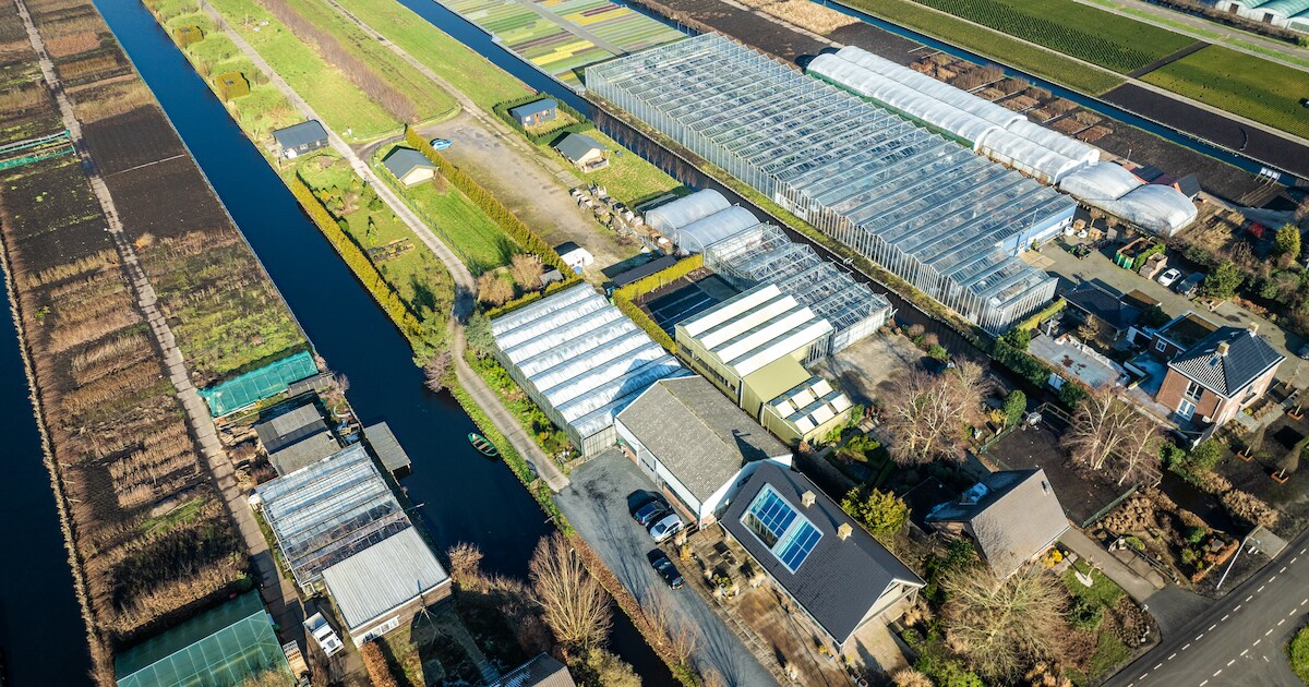 Buren klagen over herrie van feesten op camping, eigenaar Frank baalt: ‘Het is zo zuur allemaal’