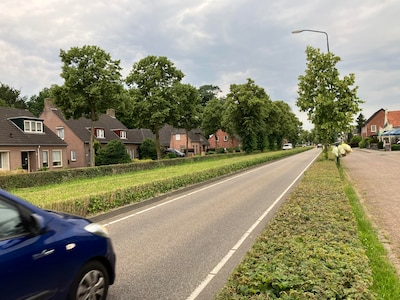 Aftrap herinrichting Wilhelminalaan: ‘Het kan heel positief uitpakken’