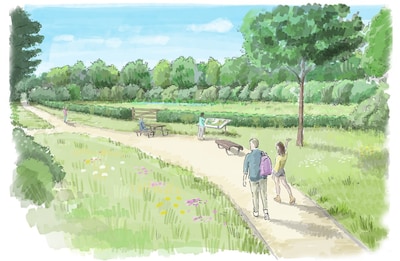 Oude voetbalvelden in Loosduinen worden natuurgebied ‘De Groene Kamer’