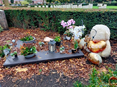 Te veel knuffels op kindergraf, gemeente dreigt met sancties: ‘Dit is harteloos’