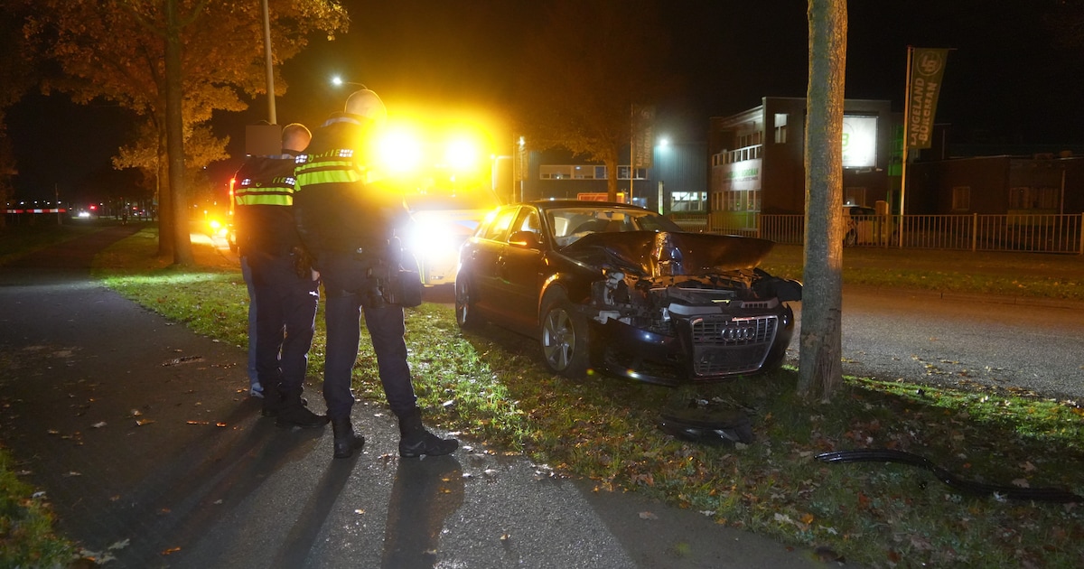 Automobilist knalt tegen boom op Europaweg in Hoogeveen