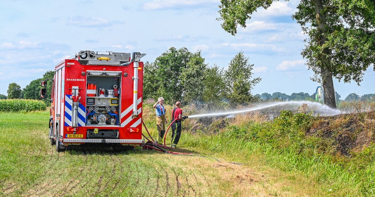 Brand in berm op Kromhoek in Frieschepalen