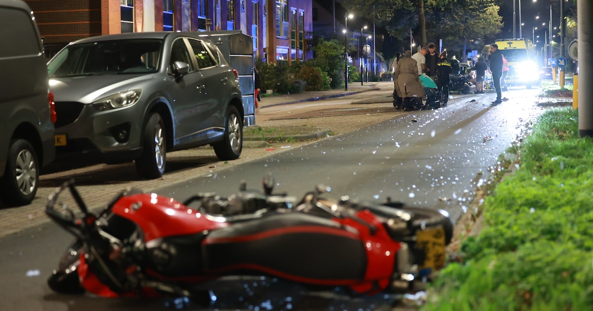 Hond overleden bij aanrijding met motor in Leidschendam, baasje zwaargewond