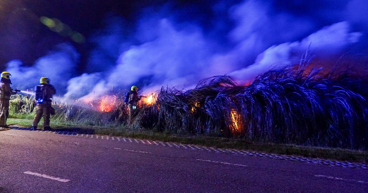 Flinke rietkraag in brand langs Oudendijk in Heemskerk