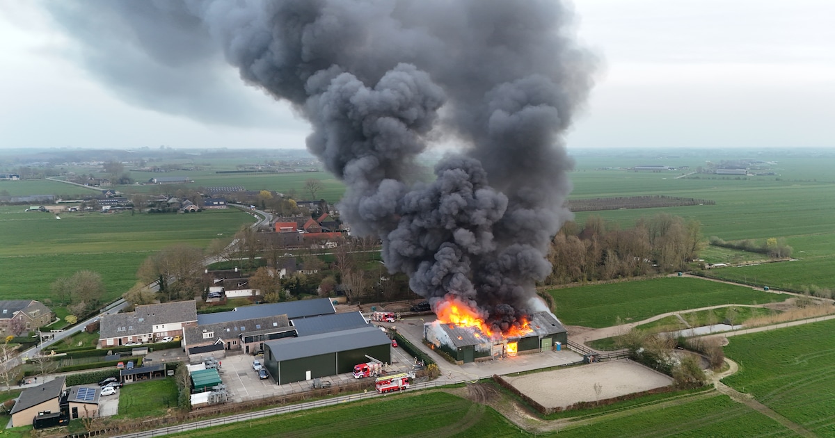 Grote rookwolken boven IJsselstein door brand: dieren buiten gevaar