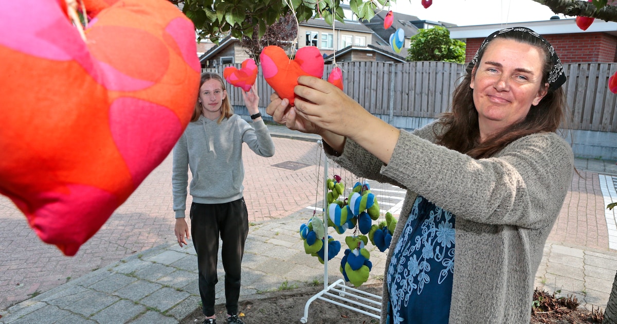 Dit is waarom er overal harten hangen in bomen in Amstelhoek