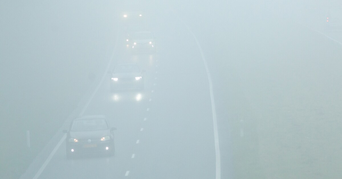 Code geel om dichte mist in delen van zuidwesten, zuiden en Utrecht ...