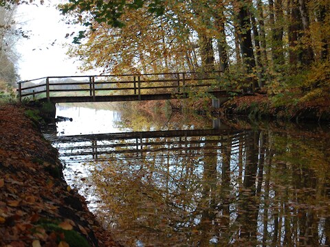 Op zoek naar een uitje in de regio? Check onze tips! Met deze week: een glaskunstbeurs in Zutphen en een excursie in Zwolle 