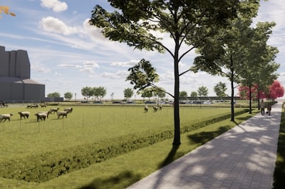 Definitief ontwerp buitenruimte Tolakker bij Universiteit Utrecht