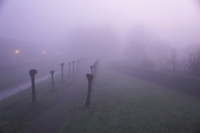 Image related to the article