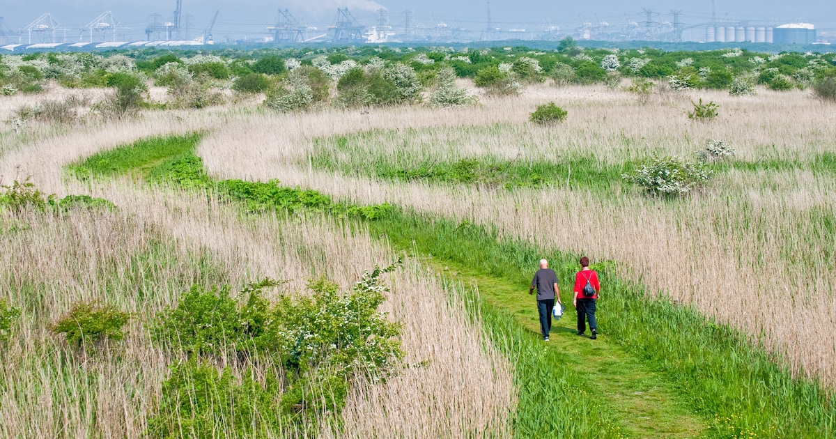 Subsidie voor duurzame acties en projecten in Voorne aan zee: aanvragen kan tot maart