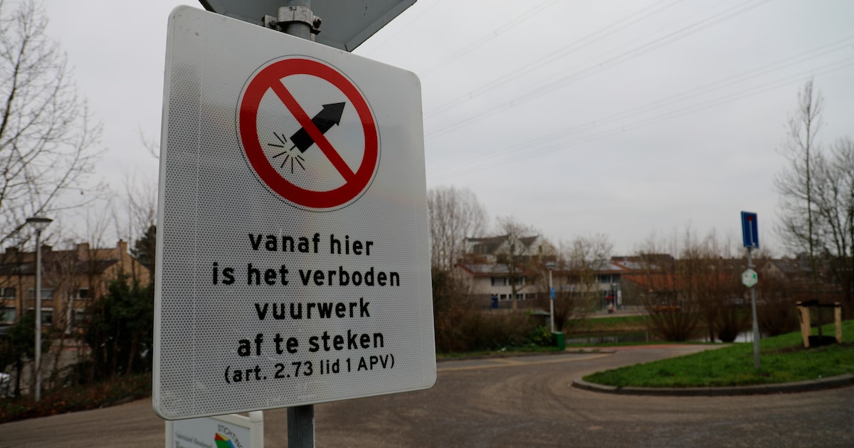 Met extra beveiligers en boa’s hoopt Albrandswaard op een rustige jaarwisseling