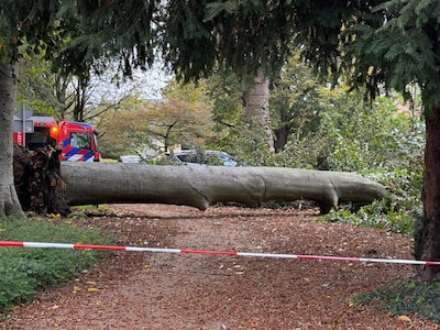 Eerste schade door storm gemeld, bekijk hier wanneer het noodweer jouw regio bereikt