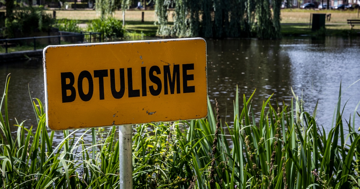 Botulisme vastgesteld in oppervlaktewater Meerkerk