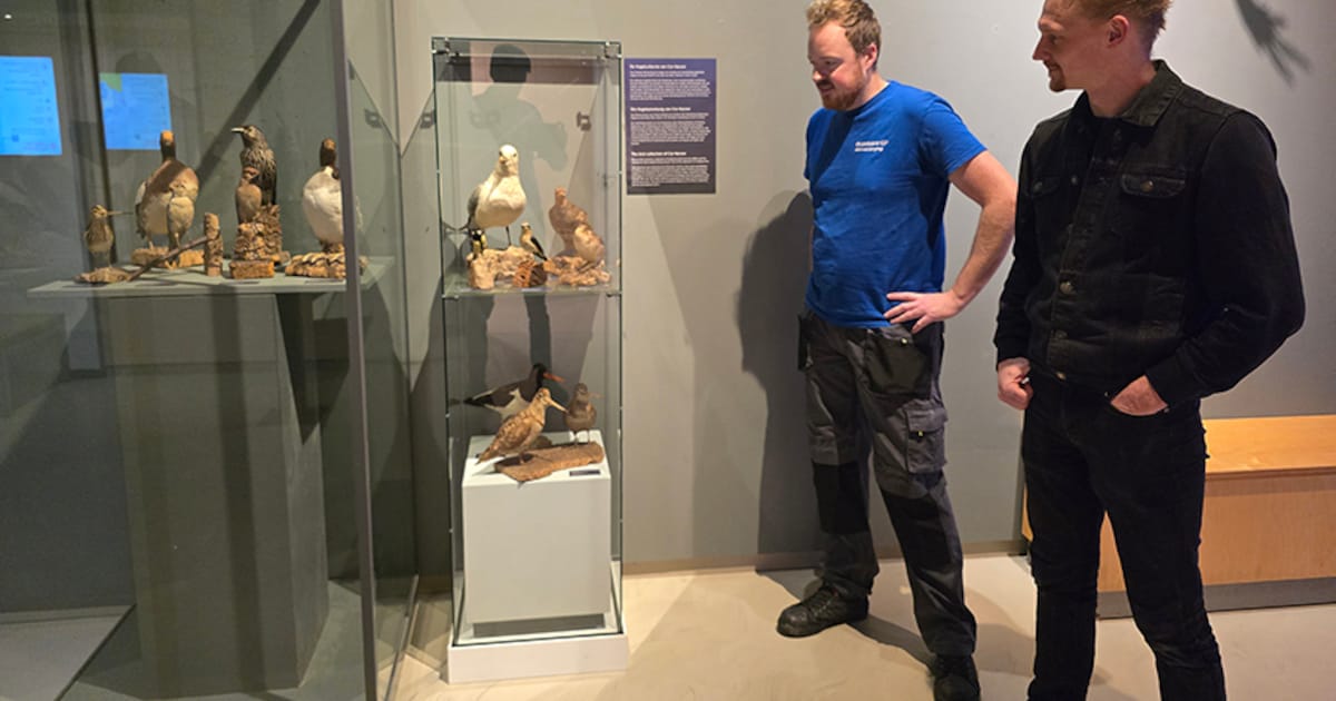 Collectie Kaczor tijdelijk te zien bij Ecomare in Texel