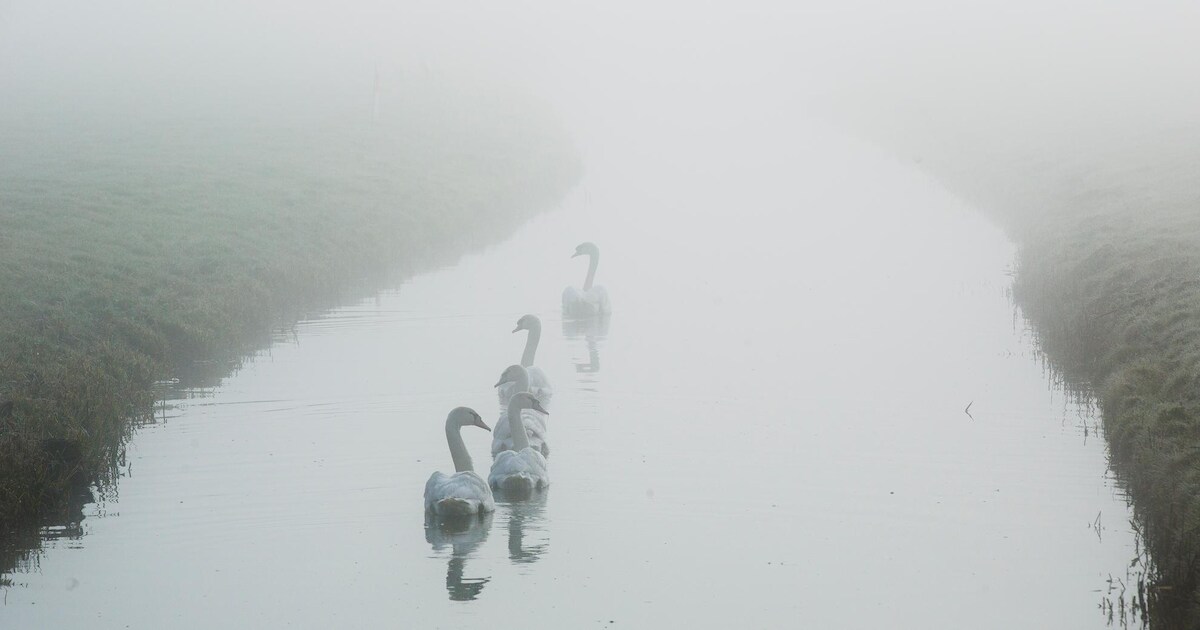 Zon en lokaal nevel of mist in Hattem in de ochtend