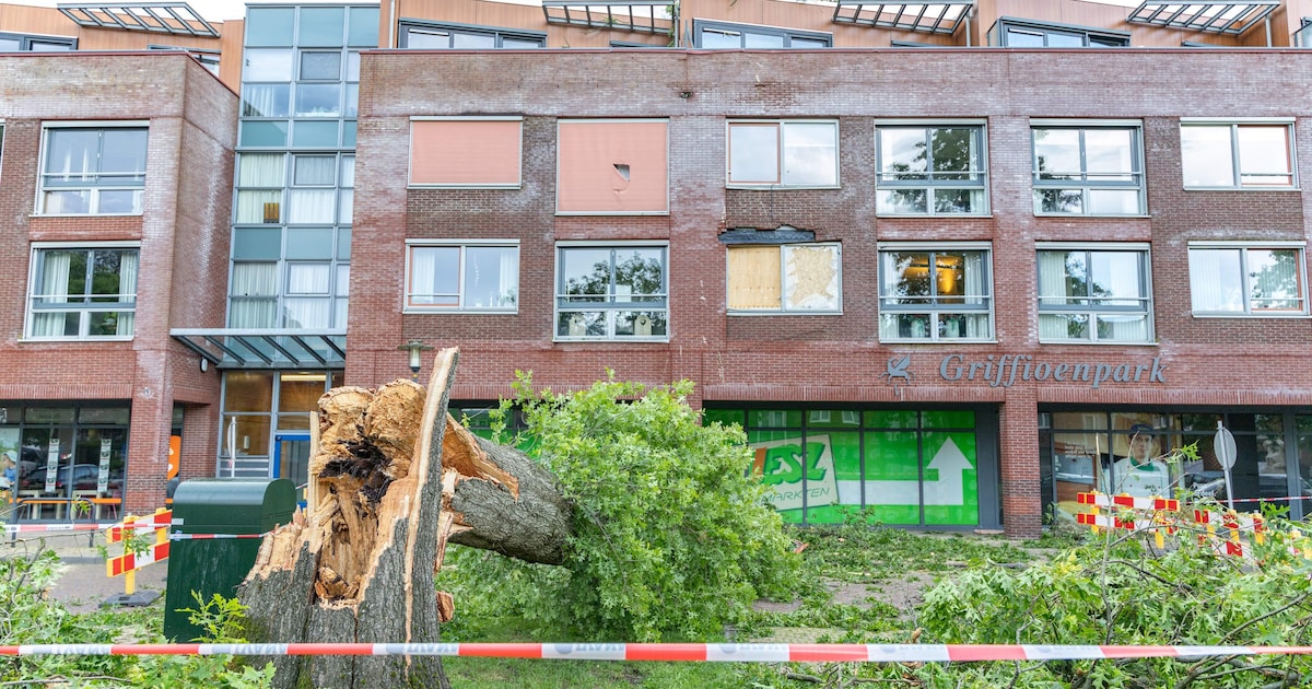 Storm richt flinke schade aan bij appartementencomplex in Wolvega