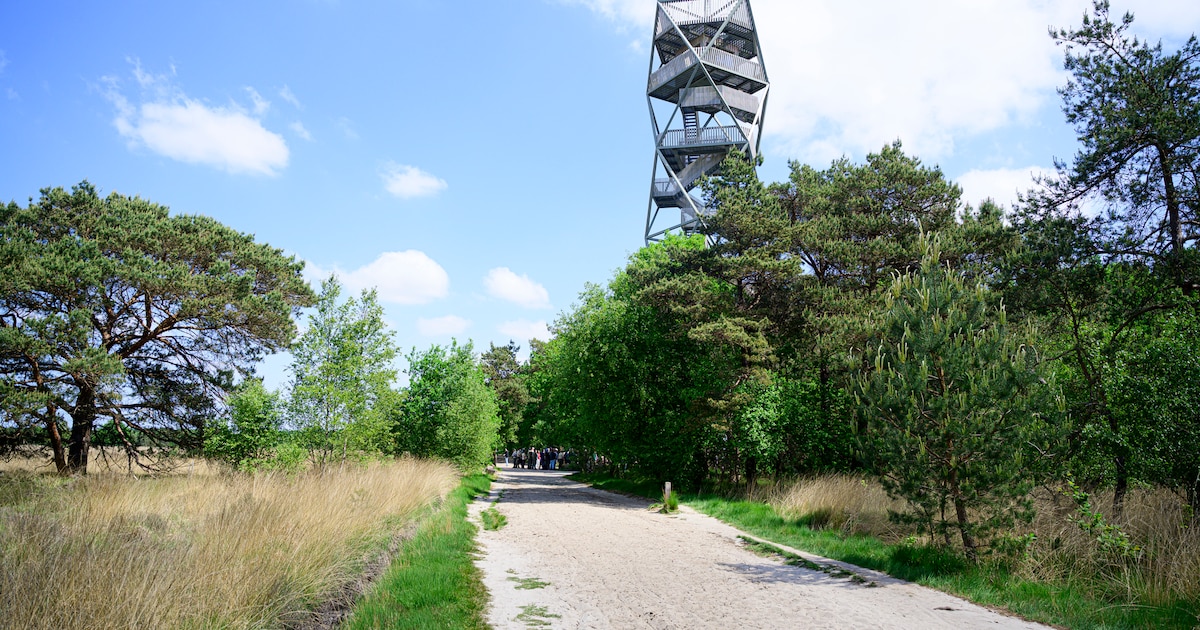 Winterse vergezichten over de heide: Nareka beklimt brandtoren tijdens frisse ochtendwandeling