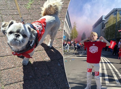 Image related to the article