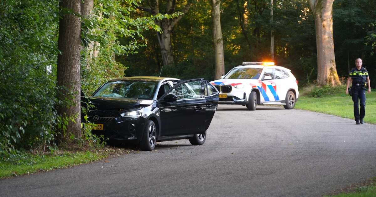 Auto botst tegen boom in Eelderwolde