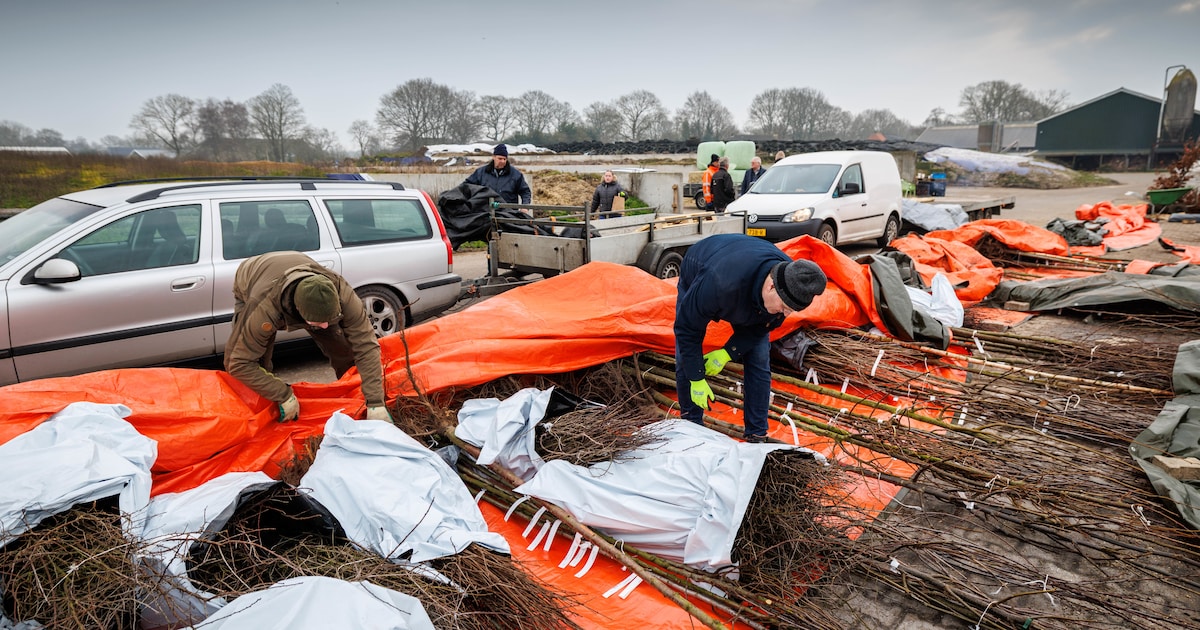 Bomen en struiken bestellen met korting in Staphorst